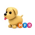 Dog > MFR
